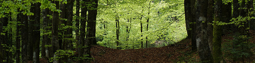 Impact Investing